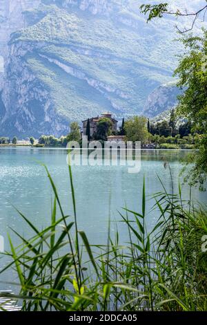 Italie, Trentin, Reeds croissant sur la rive du Lago di Toblino en été avec Castel Toblino en arrière-plan Banque D'Images