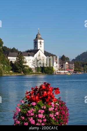 Autriche, haute-Autriche, Saint Wolfgang im Salzkammergut, fleurs se blotant sur la rive du lac Wolfgangsee en été avec église en arrière-plan Banque D'Images