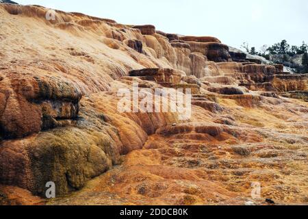 Mound Terrace, dans la région de Mammoth Hot Springs du parc national de Yellowstone Banque D'Images