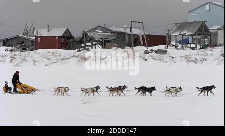 PAS DE FILM, PAS DE VIDÉO, PAS de TV, PAS DE DOCUMENTAIRE - le champion Iditarod Mitch Seavey a été le premier musher à atteindre la côte de la mer de Béring comme il arrive à Unalakleet, Alaska, USA dimanche, 10 mars 2013. Seavey est le gagnant 2004 de la course de chiens de traîneau Iditarod Trail. Photo de Bill Roth/Anchorage Daily News/MCT/ABACAPRESS.COM Banque D'Images