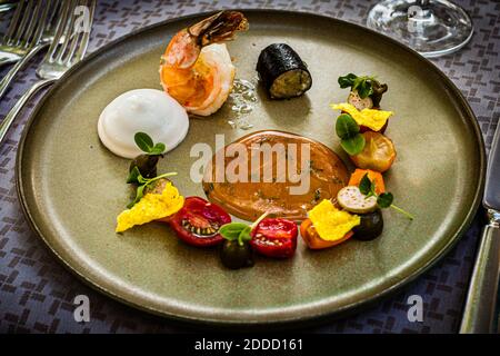 Plat du chef de cuisine étoilé au Michelin Frederik Desch du restaurant Laudensacks, Bad Kissingen, Allemagne. Maquereau frit, gelschanzemakuncartar, crème de basilic sur bouillon caldeirada et anciennes variétés de tomates. Banque D'Images