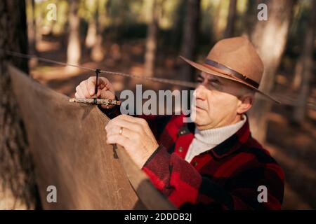 Tente de camping en forêt pour pitching de Bushrufter Banque D'Images