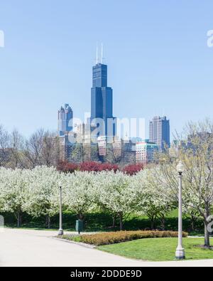 Gratte-ciels modernes vus de Grant Park le jour ensoleillé, Chicago, États-Unis Banque D'Images