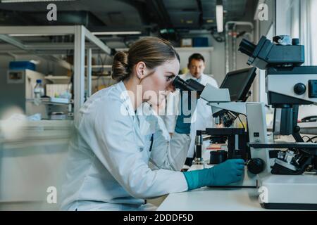 Jeune femme analysant la lame de microscope du cerveau humain sous microscope pendant assis avec des scientifiques en arrière-plan au laboratoire Banque D'Images