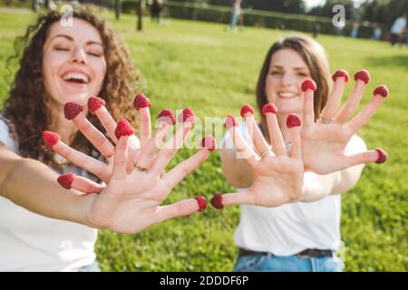 Des amies enjouées qui s'amusent avec des framboises fraîches sur les doigts à garez-vous par beau temps Banque D'Images