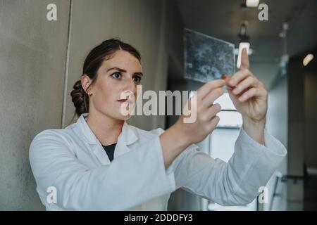 Scientifique féminine examinant un échantillon de verre du cerveau humain tout en se tenant à couloir de la clinique Banque D'Images