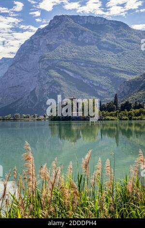 Italie, Trentin, Reeds croissant sur la rive du Lago di Toblino en été avec Castel Toblino en arrière-plan Banque D'Images