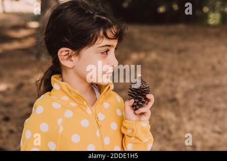 Jolie fille tenant un cône de pin tout en regardant loin dans le parc Banque D'Images
