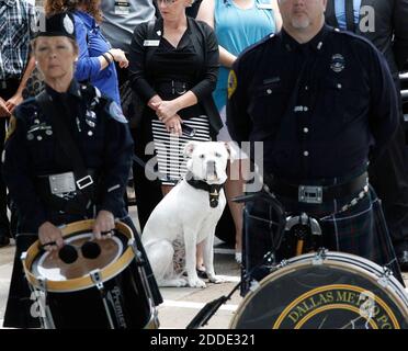 PAS DE FILM, PAS DE VIDÉO, PAS de TV, PAS DE DOCUMENTAIRE - UN chien de police attend avec d'autres officiers, portant son badge au service funéraire de Michael Krol à l'église baptiste de Prestonwood le 15 juillet 2016 à Plano, TX, USA. Photo de Paul Moseley/fort Worth Star-Telegram/TNS/ABACAPRESS.COM Banque D'Images