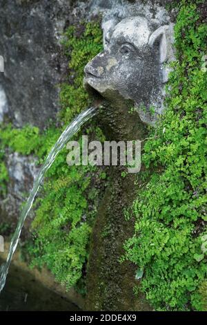 Tivoli, Italie, Italien; Villa d'Este; UN masque des cent Fontaines; UNE fontaine en forme de tête de lion - l'eau coule de sa bouche. Banque D'Images