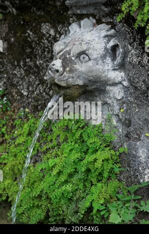 Tivoli, Italie, Italien; Villa d'Este; UN masque des cent Fontaines; UNE fontaine en forme de tête de lion - l'eau coule de sa bouche. Banque D'Images