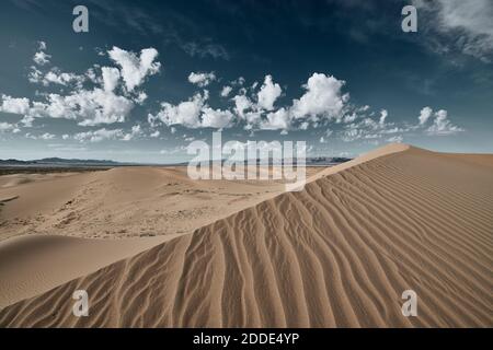 Paysage de Cadix Dunes dans le désert de Mojave, Californie du Sud, États-Unis Banque D'Images