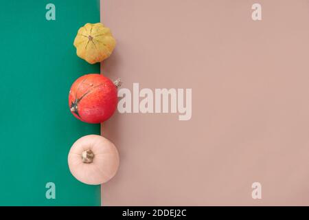 Citrouilles et squashes de différentes formes sur fond vert et beige. Vue de dessus, plan d'appartement. Concept de Thanksgiving. Banque D'Images