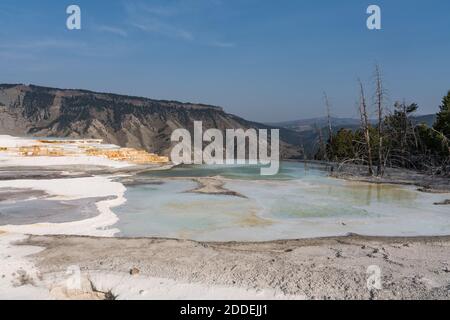 Canary Spring terrasses et piscines, terrasse principale, Mammoth Hot Springs, Parc national de Yellowstone, Wyoming, États-Unis. Banque D'Images