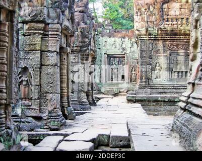 Angkor Thom, situé près de Siem Reap au Cambodge, est l'une des villes perdues découvertes dans les années 1990 et classée au patrimoine mondial de l'UNESCO en 1992. Toujours à l'état de découverte, cette ancienne ville khmère donne un aperçu de la civilisation khmère autrefois prospère ainsi que de la double influence religieuse historique sur l'architecture, l'hindouisme et le bouddhisme. Angkor Thom est l'un des nombreux complexes de temples encore en train d'être déterrés près de Siem Reap, Cambodge. Banque D'Images