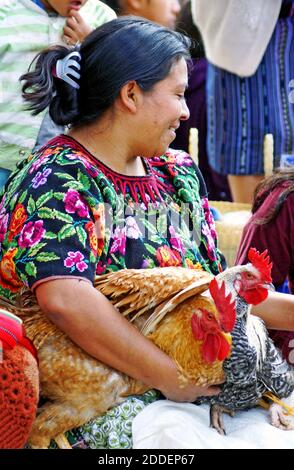 La femme maya montre son poulet à vendre dans le marché historique de Chichichastenango, connu sous le nom de Chichi, dans les hauts plateaux du Guatemala. Situé à environ 2.5 heures de Guatemala, le marché a eu lieu depuis avant les conquistadors. Le marché ethnique coloré est une célébration de la culture maya qui se produit tous les jeudis et dimanches. Banque D'Images