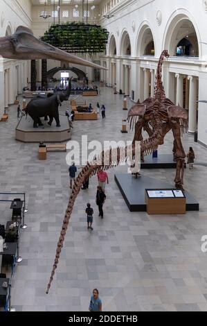 Le Stanley Field Hall du Field Museum de Chicago Banque D'Images