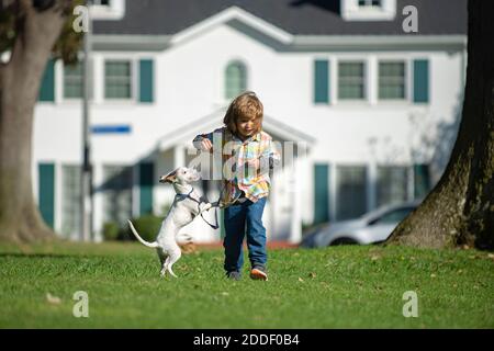 Assurance enfants. Un enfant avec un animal de compagnie court à la course. Un garçon blond jouant avec un chien sur la pelouse du parc. Le chien a soulevé la queue. Jeu amusant. Famille Banque D'Images