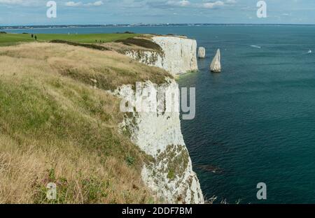 Falaises de craie et prairies à Foreland point, avec Old Harry Rocks au-delà. Côte du Dorset. Banque D'Images