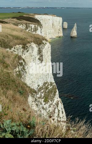 Falaises de craie et prairies à Foreland point, avec Old Harry Rocks au-delà. Côte du Dorset. Banque D'Images