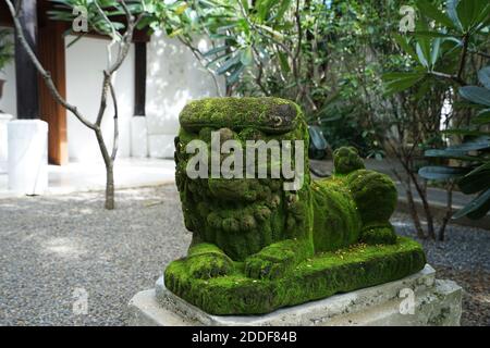 Gros plan en pierre de granit, lion de gardien chinois recouvert de vert mousse Banque D'Images