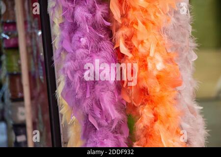 Belles plumes d'oiseaux colorés à des fins décoratives Banque D'Images