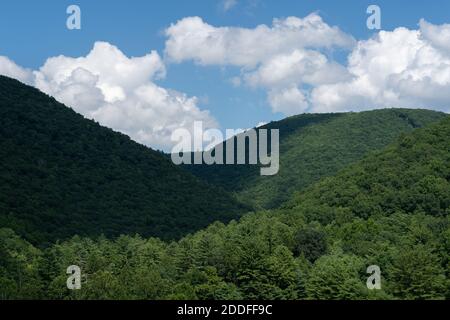 La beauté des collines couvertes d'arbres sous les nuages puffy dans le ciel Banque D'Images