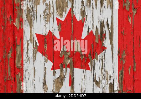 Drapeau du Canada sur un mur de bois abîmé Banque D'Images