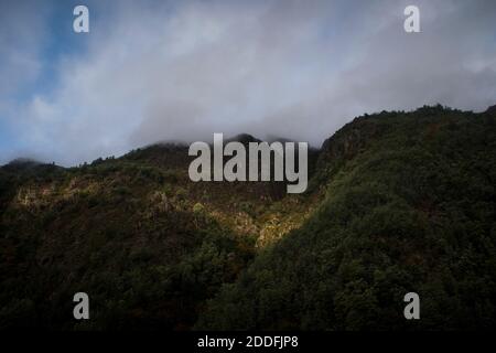 Paysage de montagne par une journée de brouillard avec des ouvertures de soleil des verts éclatants tandis que le brouillard se soulève Banque D'Images