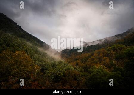 Paysage de montagne d'automne avec des arbres colorés et des nuages bas sur journée brumeuse