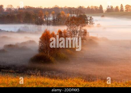 Warmia et Masuria, vallée de la rivière Krutynia, Pologne Banque D'Images