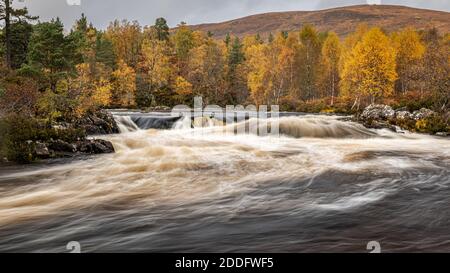 Une section à écoulement rapide de la rivière Garbh Uisge avec Les couleurs d'automne de Glen Affric en arrière-plan Banque D'Images