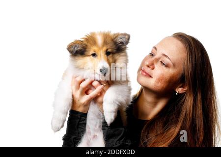 Amour entre le propriétaire et le chien. Fille et chiot sheltie Banque D'Images