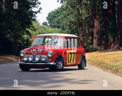 1966 Mini Cooper S MK1 ex Rauno Aatonen Henry Liddon Monte Carlo Rally car. N° 177 Banque D'Images