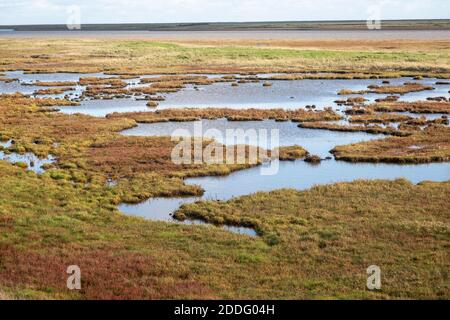 Piscines d'eau dans les marais salants de salées par la rivière Ore avec Orford Ness Beyond, Suffolk, Angleterre, Royaume-Uni Banque D'Images