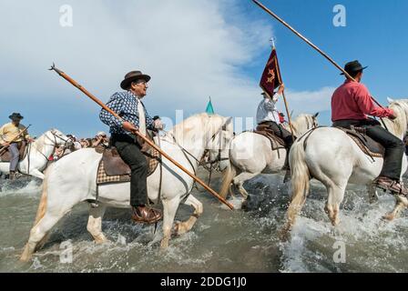 Gardians à cheval dans la mer lors du pèlerinage annuel des Gypsy à Saintes-Maries-de-la-Mer, France, 24 mai 2012 Banque D'Images