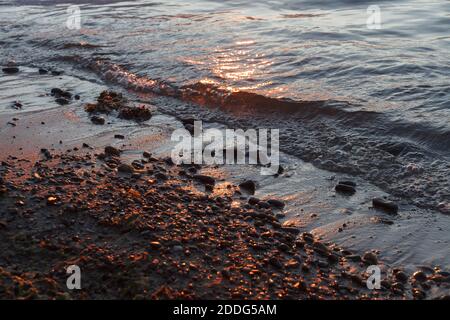 Plage de galets en gros plan avec mer de surf dans une lumière de coucher de soleil. Pierres de différentes tailles sur le fond de la mer au coucher du soleil. Banque D'Images