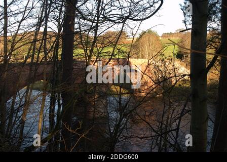 Pont de Lowood à travers les arbres près de Darnick au début de la lumière du soleil Banque D'Images