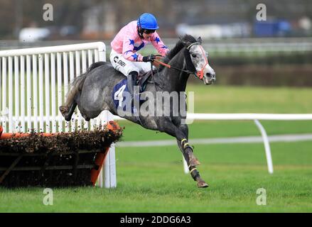 M. Shady, monté par le jockey Ryan Mania, ouvre la dernière clôture sur la voie de la fin deuxième dans le hangdle de jeune fille de wetherbyracing.co.uk (Northern Lights Juvenile Series Qualifier) (GBB Race) à l'hippodrome de Wetherby. Banque D'Images