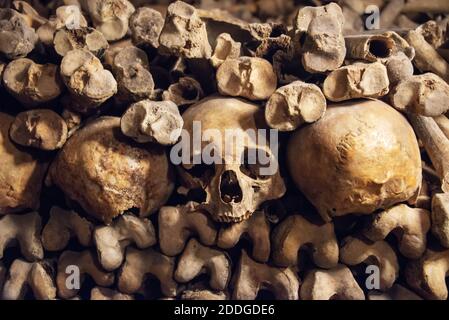 Pile de crânes et d'os dans les catacombes de Paris, France Banque D'Images