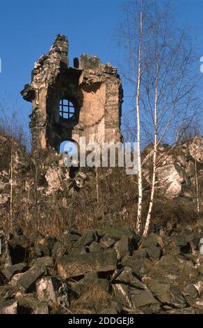 Les oiseaux qui poussent des ruines de la Frauenkirche à Dresde, Allemagne, automne 1990. Banque D'Images