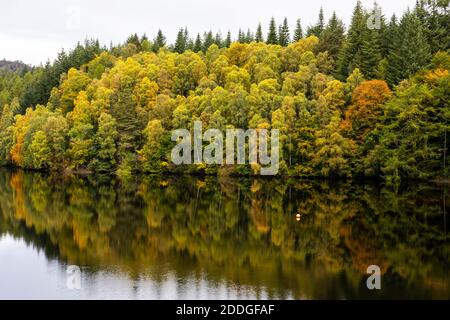 Réflexions d'automne sur le Loch Faskally, près de Pitlochry, dans le Perthshire, en Écosse, au Royaume-Uni Banque D'Images