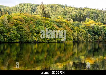 Réflexions d'automne sur le Loch Faskally, près de Pitlochry, dans le Perthshire, en Écosse, au Royaume-Uni Banque D'Images