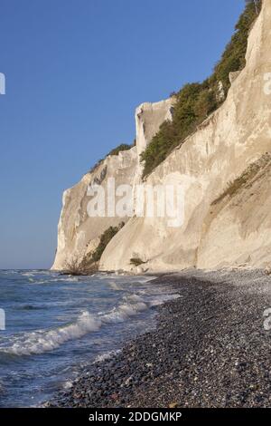 Géographie / Voyage, Danemark, Zélande, isle mon, falaise de craie près des falaises de mon, Mons Klint sur l'île, droits-supplémentaires-autorisation-Info-non-disponible Banque D'Images