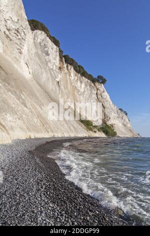 Géographie / Voyage, Danemark, Zélande, isle mon, falaise de craie près des falaises de mon, Mons Klint sur l'île, droits-supplémentaires-autorisation-Info-non-disponible Banque D'Images