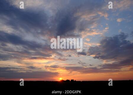 Le soleil se couche sur l'horizon. Silhouettes d'arbres sur fond de ciel de coucher de soleil. Nuages colorés. Banque D'Images