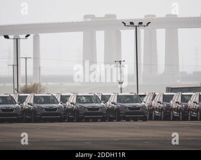 Queenborough, Kent, Royaume-Uni. 25 novembre 2020. Le port de Sheerness, dans le Kent, est l'un des principaux importateurs et exportateurs de voitures neuves du Royaume-Uni en provenance d'Europe. De nouvelles voitures et de nouveaux fourgonnettes dans un complexe de stockage près de Sheerness, alors que l’échéance du Brexit se profile à l’horizon. Crédit : James Bell/Alay Live News Banque D'Images