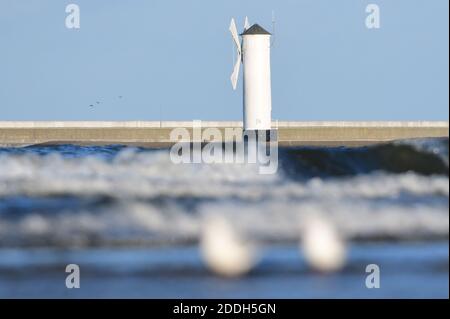 20 novembre 2020, Pologne, Swinemünde: Les mouettes sont assis devant la balise du moulin sur la plage de la mer Baltique. Photo: Sebastian Kahnert/dpa-Zentralbild Banque D'Images