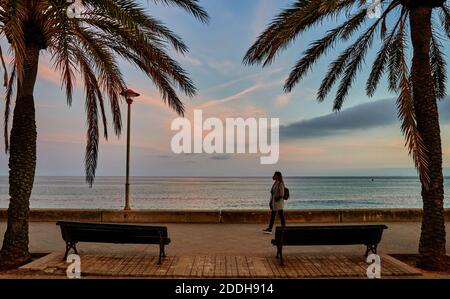 banc sous les palmiers avec la mer en arrière-plan au coucher du soleil Banque D'Images