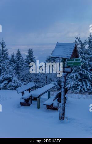 Première petite randonnée d'hiver le long du Rennsteig à travers le Thuringe Forêt - Schneekopf/Allemagne Banque D'Images